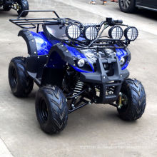 Jinyi beliebtes 110cc Mini Quad Bike ATV (JY-100-1B)